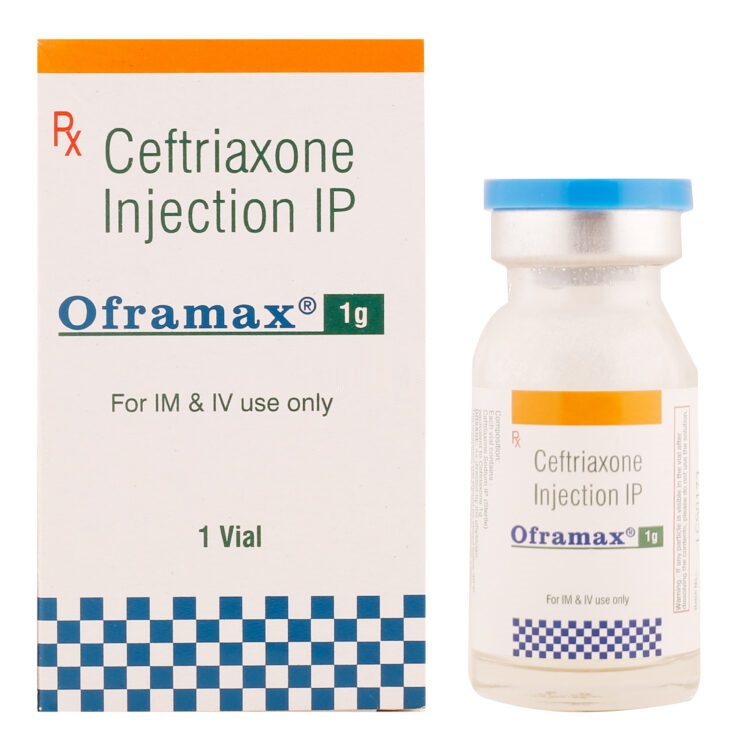 Oframax 1g Injection